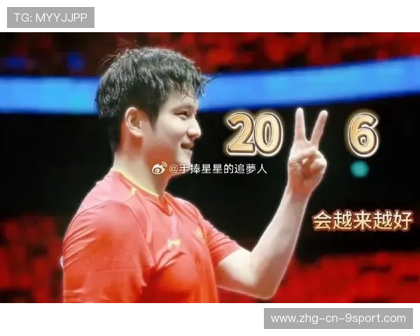 樊振东2026赛季最新底板配置曝光：暴力美学背后的器材革新，樊振东2021底板