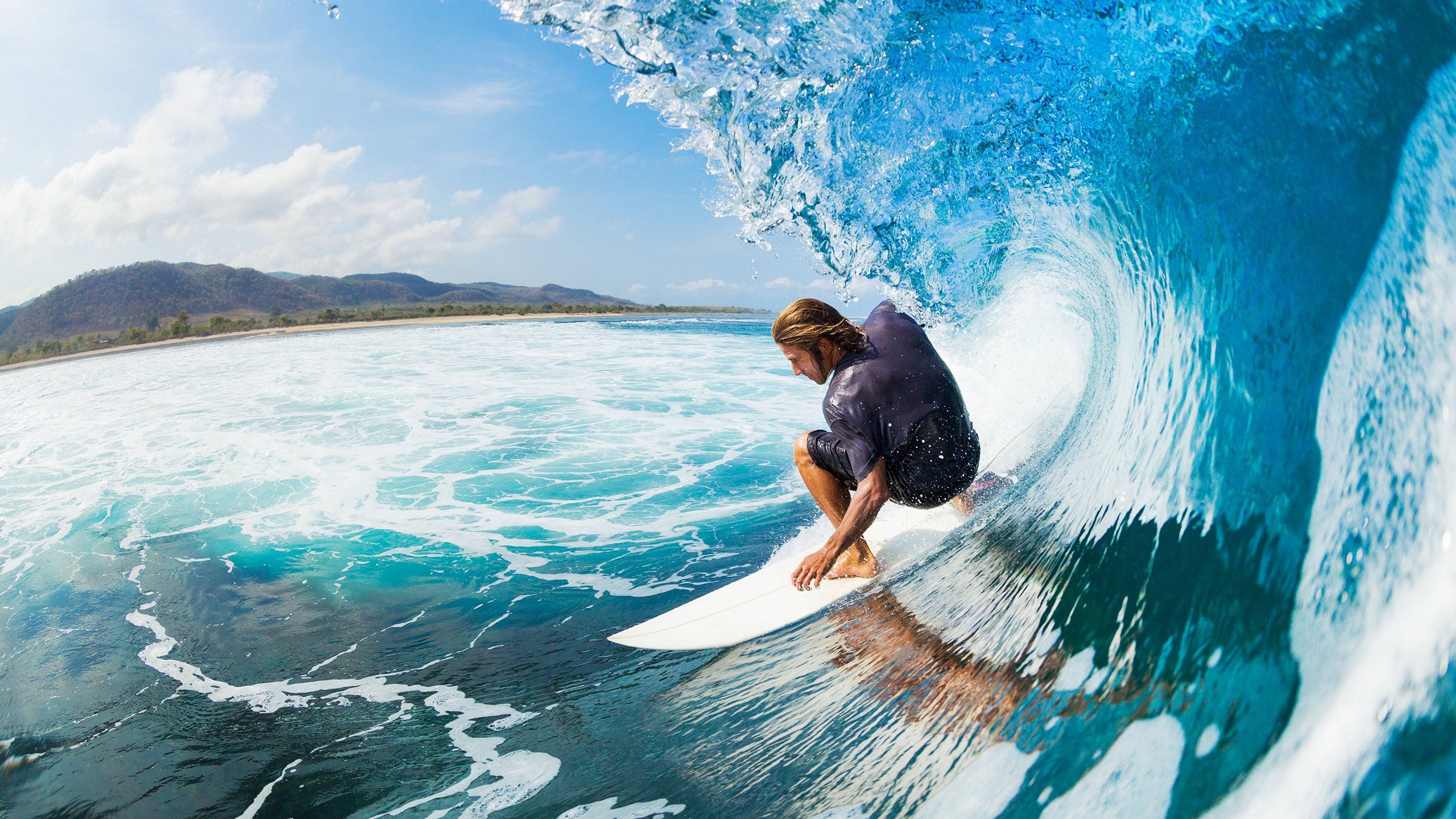 “萨尔·巴赫,南非橄榄球的新鲜血液,强势亮相世界杯”