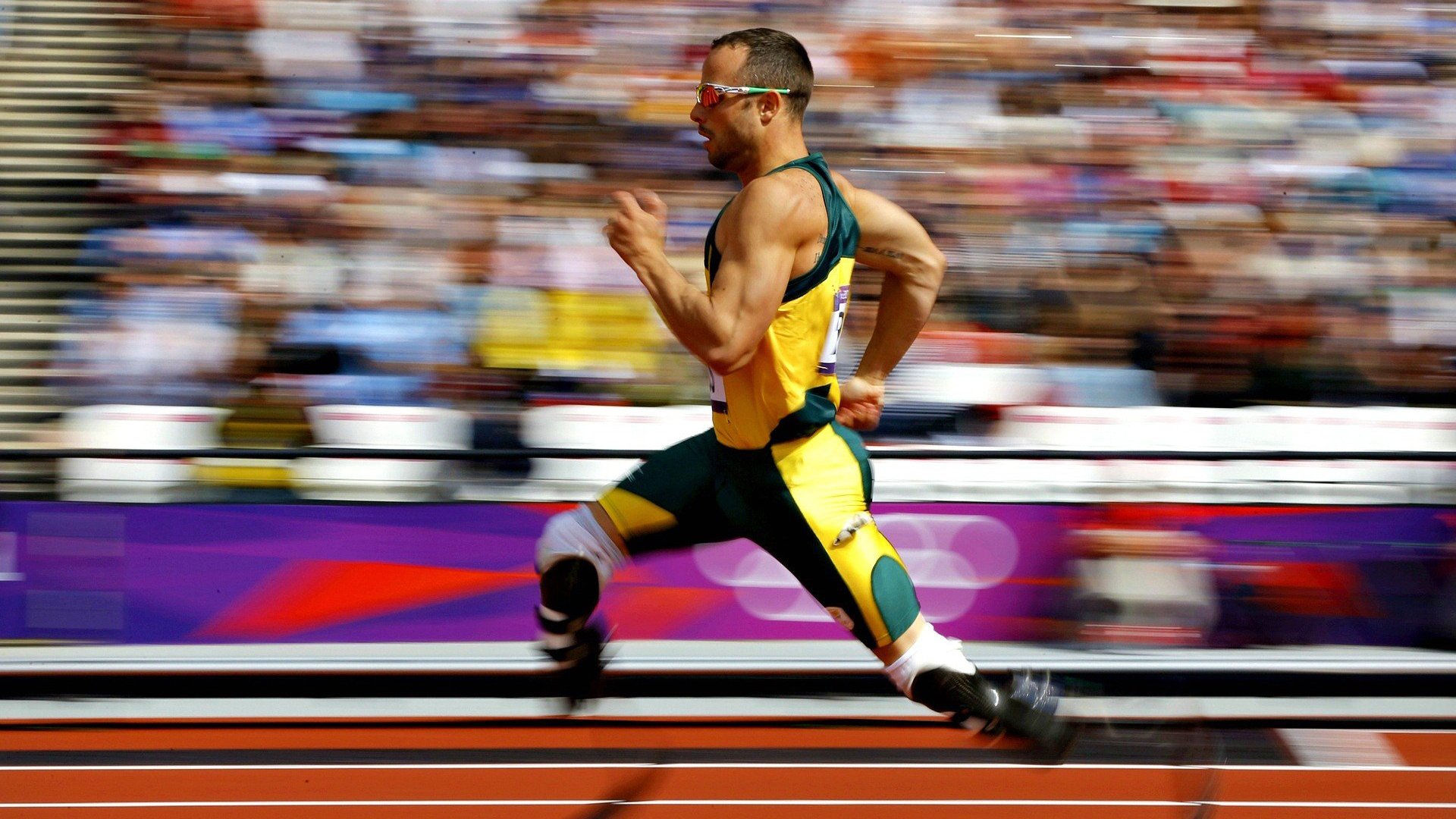 AI 热潮下的存储革命：韩国芯片股能否持续？，韩国芯片企业